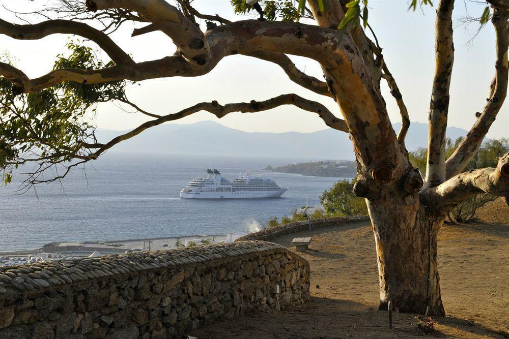 Castle Panigirakis Hotel Mykonos Town Exterior photo